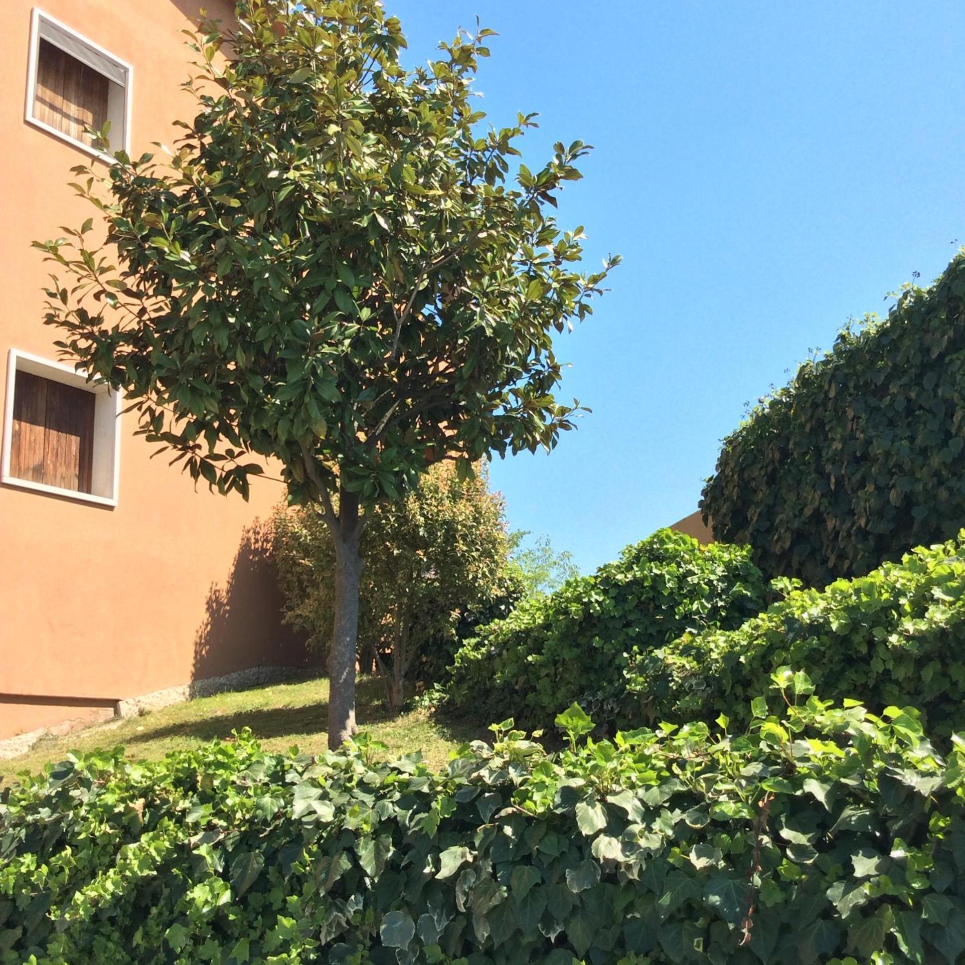 Appartamento Filippo Castelnuovo del Garda Dış mekan fotoğraf
